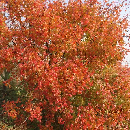 בית נופש Ca La Cisca *