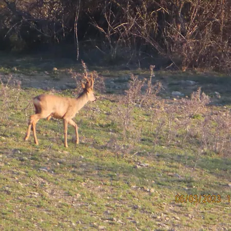 Ca La Cisca El Meull