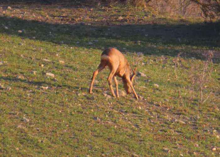 Ca La Cisca בית נופש *